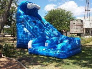 Monster Wave Dual Lane Water Slide