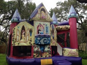 disney princess 3d 5 in 1 combo 2 Slide