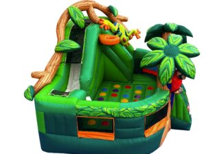 rainforest combo Slide