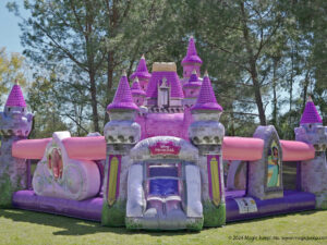 disney princess castle playground Slide